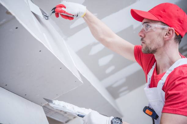 Professional Drywall & Painting Services in Nice, CA